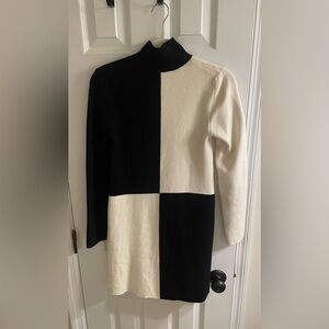 Zara Turtleneck Sweater Dress